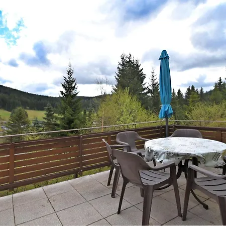 Holiday home With Sauna In Wildenthal Weitersglashutte