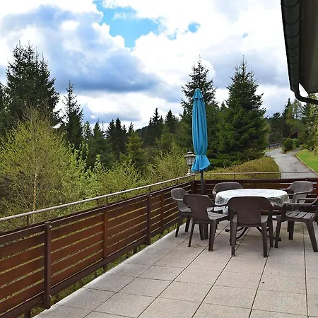 Holiday home With Sauna In Wildenthal